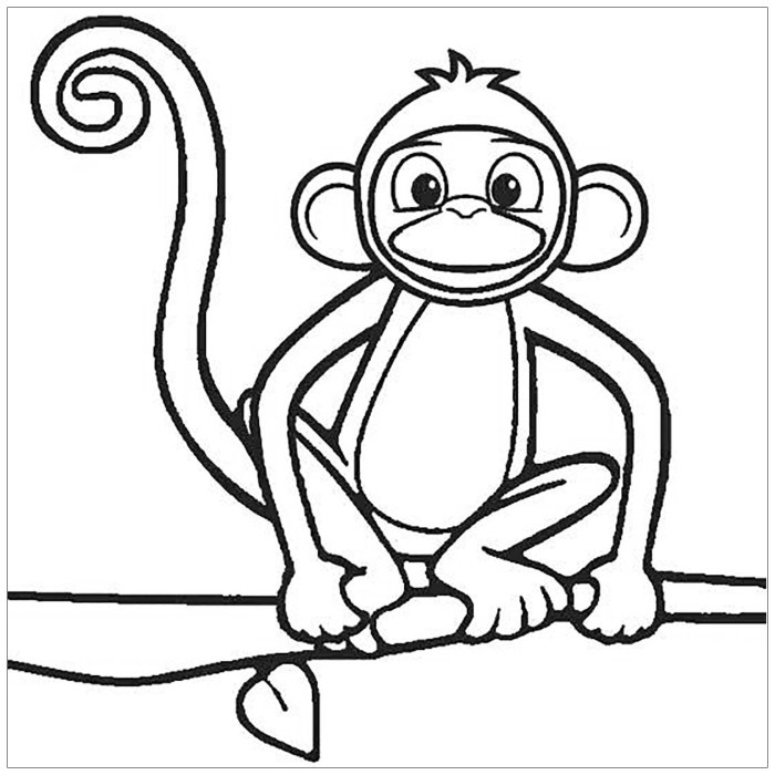 Monkey coloring book page