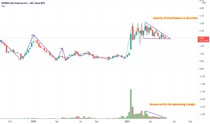 Ndra stock price target