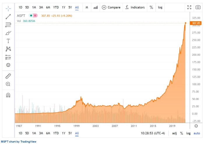 Microsoft stock price 1995