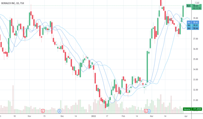 Malox stock price