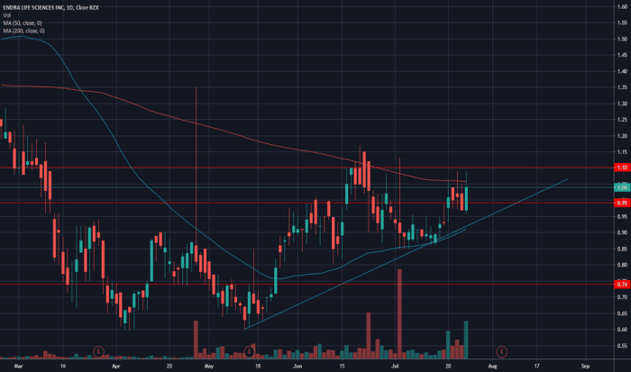 Ndra stock price target