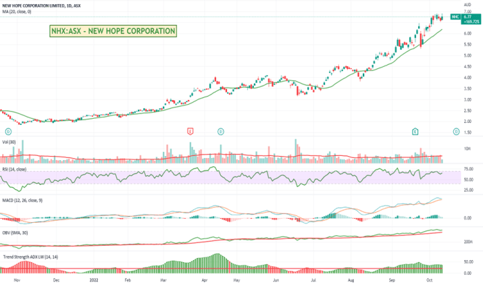 Nhc foods stock price