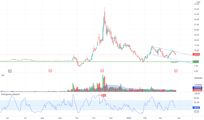 Ionic digital inc stock price